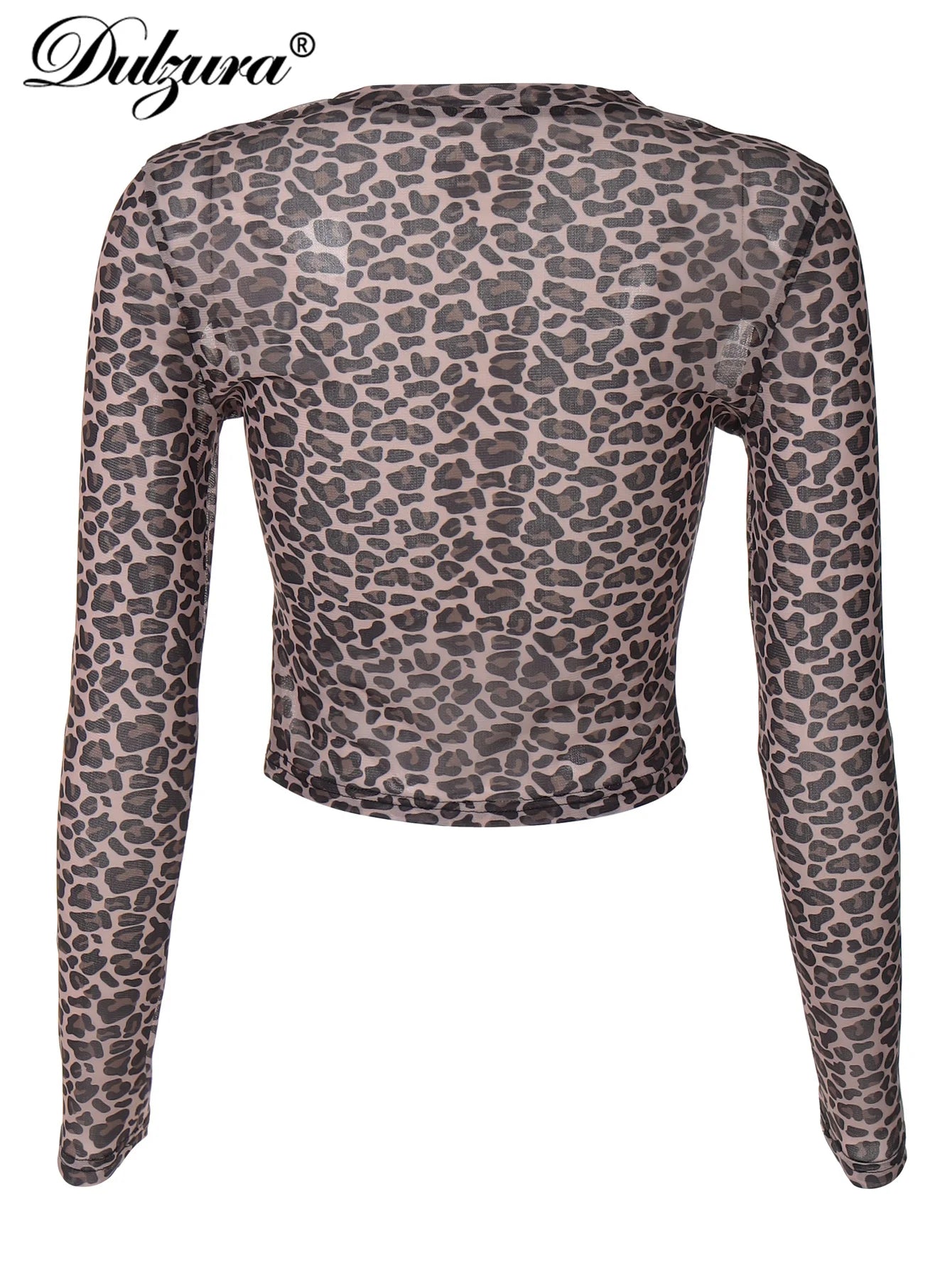 Leopard Mesh Long-Sleeve Top