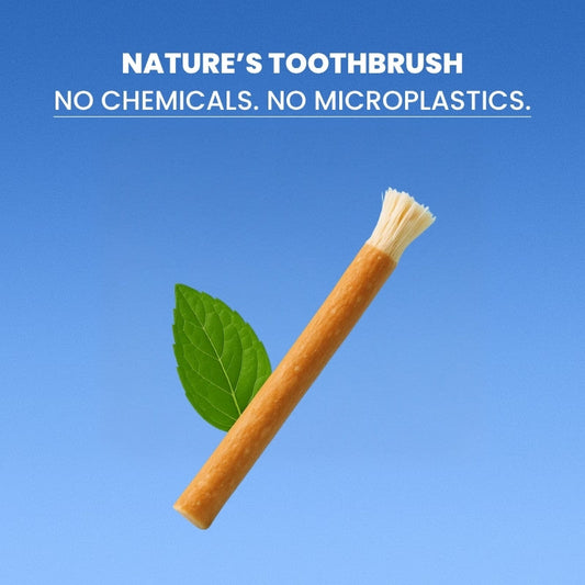 The Miswak